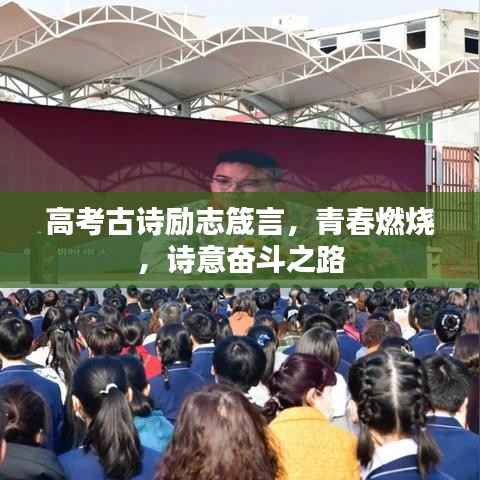 高考古诗励志箴言,青春燃烧,诗意奋斗之路