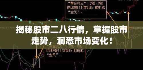 揭秘股市二八行情,掌握股市走势,洞悉市场变化!