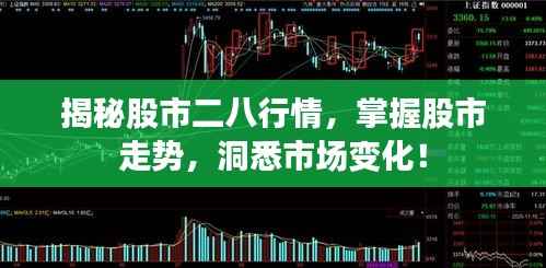揭秘股市二八行情,掌握股市走势,洞悉市场变化!