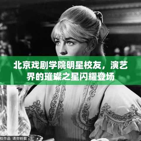 北京戏剧学院明星校友,演艺界的璀璨之星闪耀登场