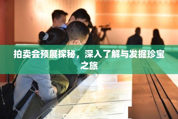 拍卖会预展探秘,深入了解与发掘珍宝之旅