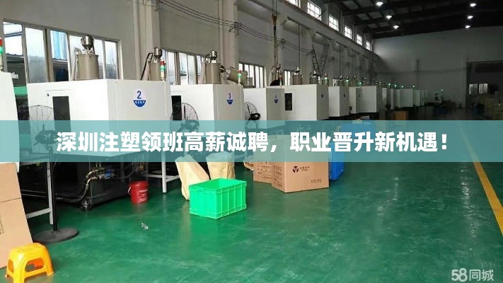 逆风飞扬 第2页