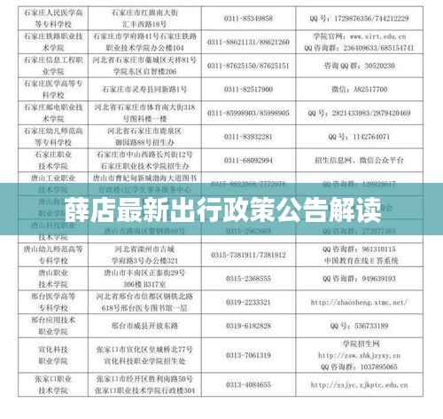 薛店最新出行政策公告解读