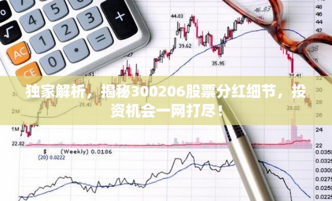 衣不重采 第2页