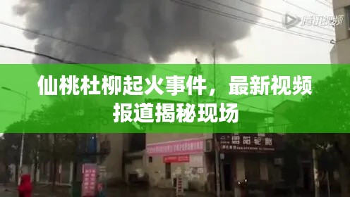仙桃杜柳起火事件,最新视频报道揭秘现场