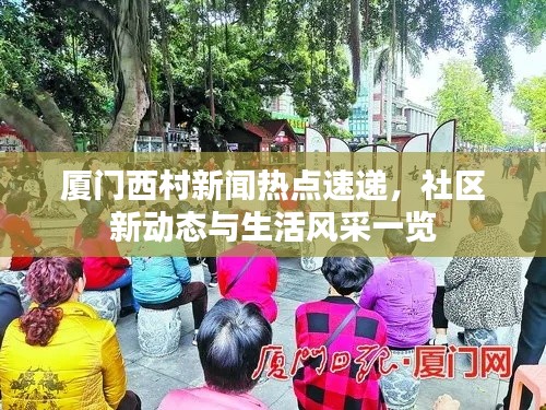厦门西村新闻热点速递,社区新动态与生活风采一览