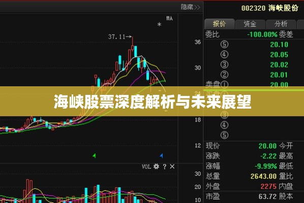海峡股票深度解析与未来展望