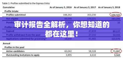 审计报告全解析,你想知道的都在这里!