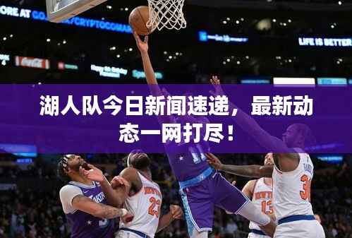 湖人队今日新闻速递,最新动态一网打尽!
