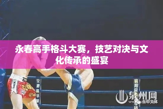 永春高手格斗大赛,技艺对决与文化传承的盛宴