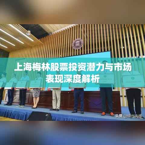 上海梅林股票投资潜力与市场表现深度解析