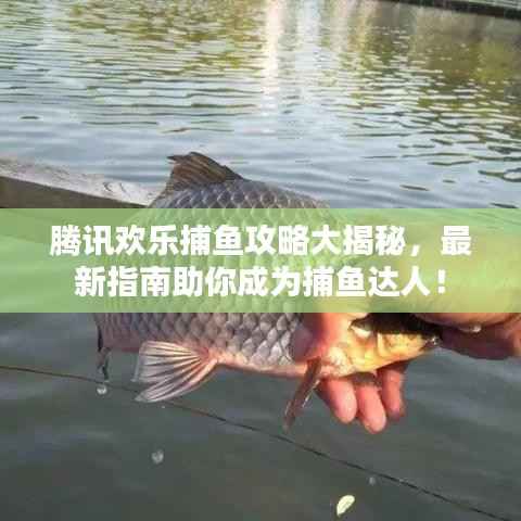 腾讯欢乐捕鱼攻略大揭秘,最新指南助你成为捕鱼达人!