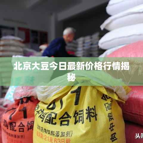 北京大豆今日最新价格行情揭秘