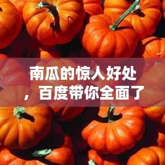 南瓜的惊人好处,百度带你全面了解!