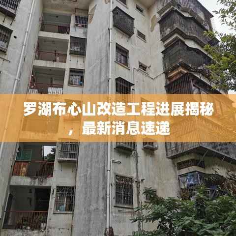 罗湖布心山改造工程进展揭秘,最新消息速递