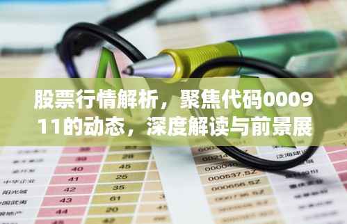 股票行情解析,聚焦代码000911的动态,深度解读与前景展望