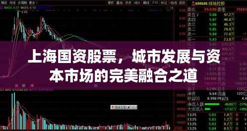 上海国资股票,城市发展与资本市场的完美融合之道