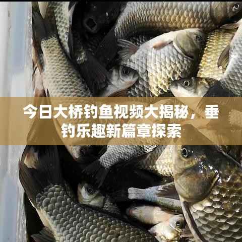 今日大桥钓鱼视频大揭秘,垂钓乐趣新篇章探索