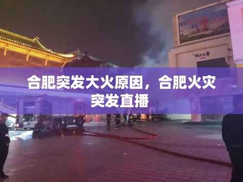 合肥突发大火原因,合肥火灾突发直播
