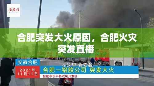 合肥突发大火原因,合肥火灾突发直播
