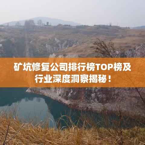 矿坑修复公司排行榜TOP榜及行业深度洞察揭秘!