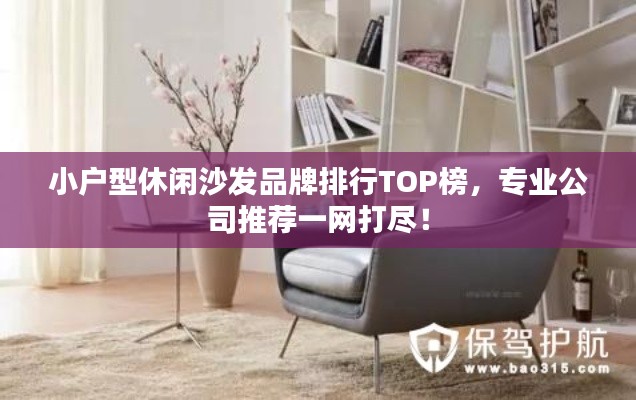 小户型休闲沙发品牌排行TOP榜,专业公司推荐一网打尽!