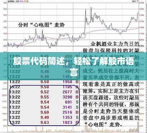 股票代码简述，轻松了解股市语言