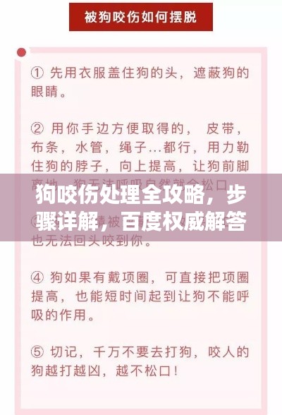狗咬伤处理全攻略,步骤详解,百度权威解答