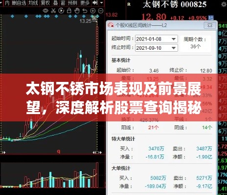 太钢不锈市场表现及前景展望,深度解析股票查询揭秘未来趋势