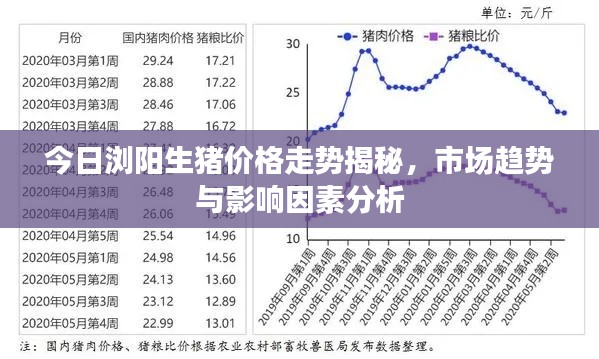 今日浏阳生猪价格走势揭秘,市场趋势与影响因素分析