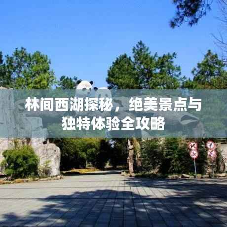 林间西湖探秘,绝美景点与独特体验全攻略