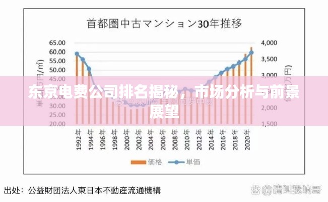 东京电费公司排名揭秘,市场分析与前景展望