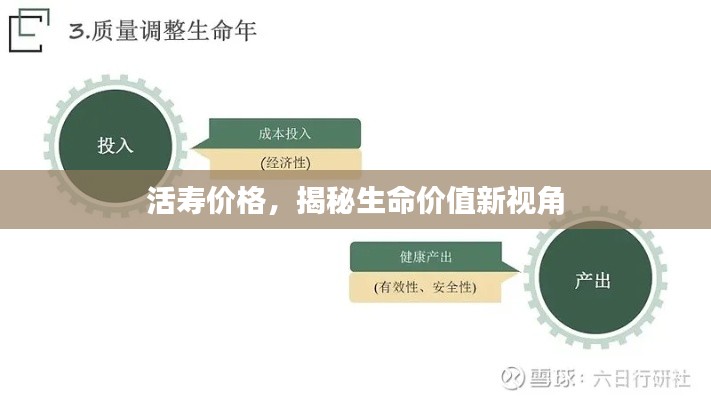 夫贵妻荣 第3页