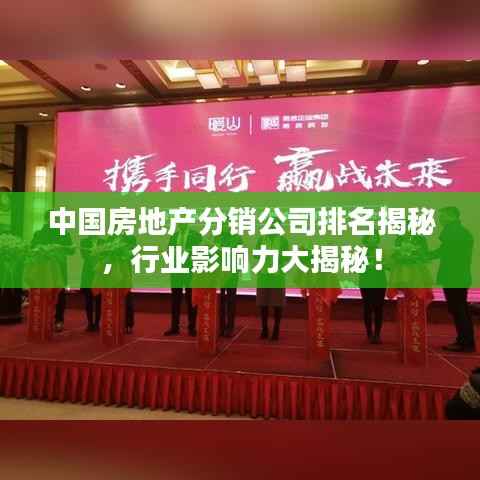 中国房地产分销公司排名揭秘，行业影响力大揭秘！