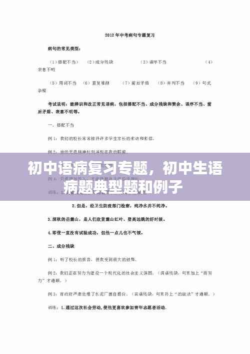 初中语病复习专题,初中生语病题典型题和例子