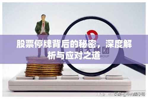 股票停牌背后的秘密,深度解析与应对之道