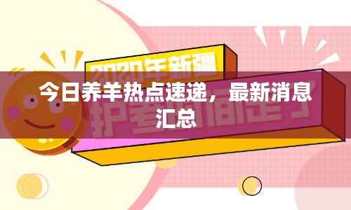 今日养羊热点速递,最新消息汇总