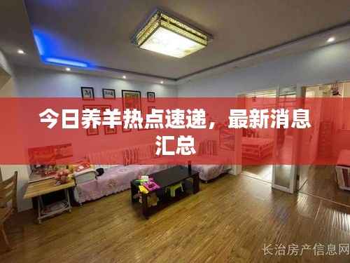 今日养羊热点速递,最新消息汇总