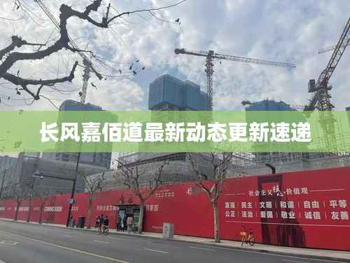长风嘉佰道最新动态更新速递