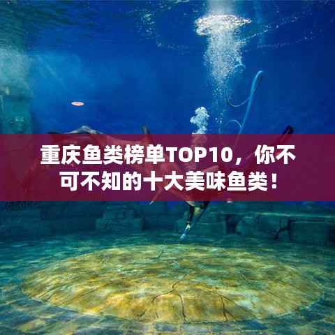 重庆鱼类榜单TOP10,你不可不知的十大美味鱼类!