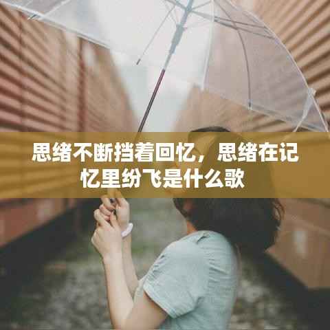 思绪不断挡着回忆,思绪在记忆里纷飞是什么歌