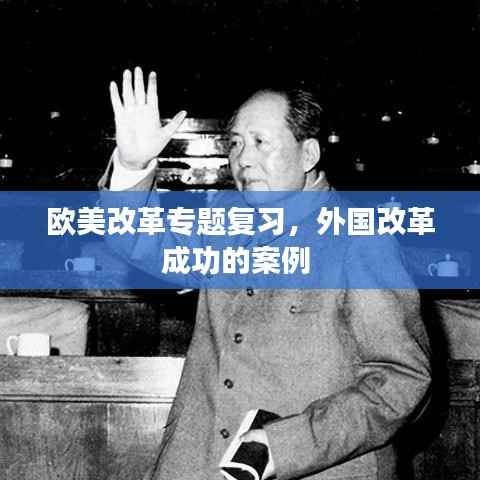 欧美改革专题复习,外国改革成功的案例