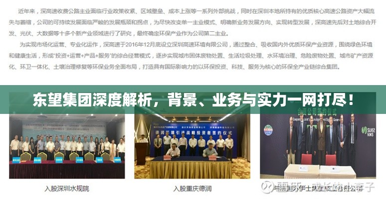 东望集团深度解析,背景、业务与实力一网打尽!