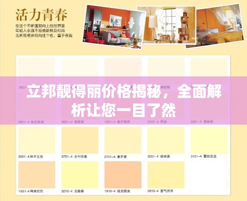 立邦靓得丽价格揭秘,全面解析让您一目了然