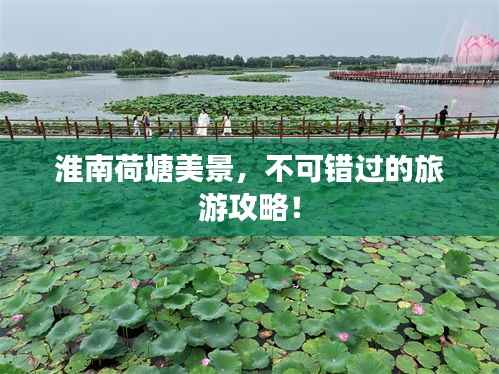 淮南荷塘美景,不可错过的旅游攻略!