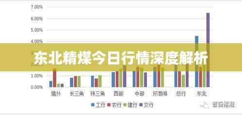 东北精煤今日行情深度解析