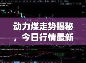 动力煤走势揭秘,今日行情最新动态