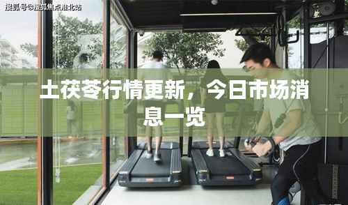 土茯苓行情更新,今日市场消息一览