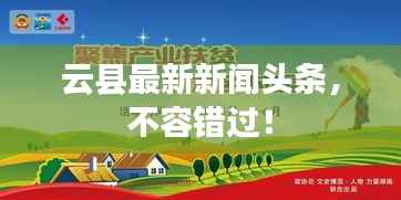 云县最新新闻头条,不容错过!