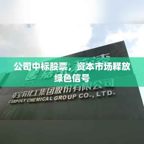 公司中标股票,资本市场释放绿色信号